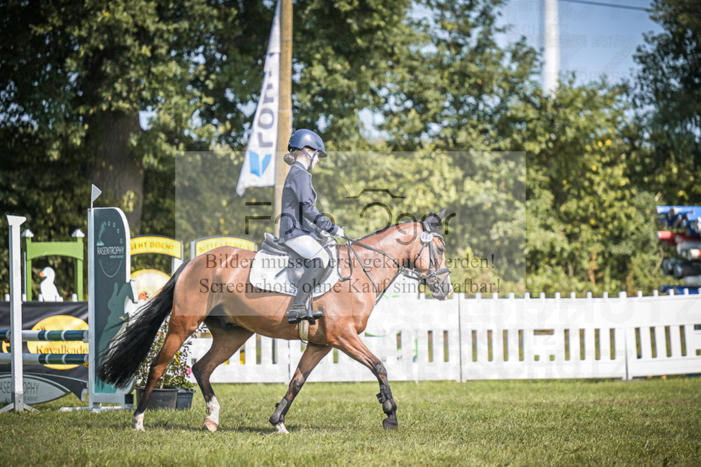 DOS_3379 | Entdecke hochwertige Reitturnierfotos von Foto Oger. Professionell, emotional und authentisch – jetzt Lieblingsmomente im Shop bestellen.Deutschlandweite Turnierfotografie. - Realisiert mit Pictrs.com