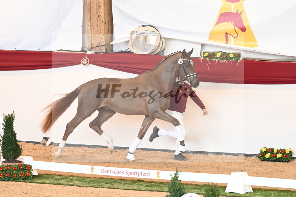 Kat.-Nr. 62 v. Shu Fu_Fischer_2240920 | hf-fotografie - Realisiert mit Pictrs.com