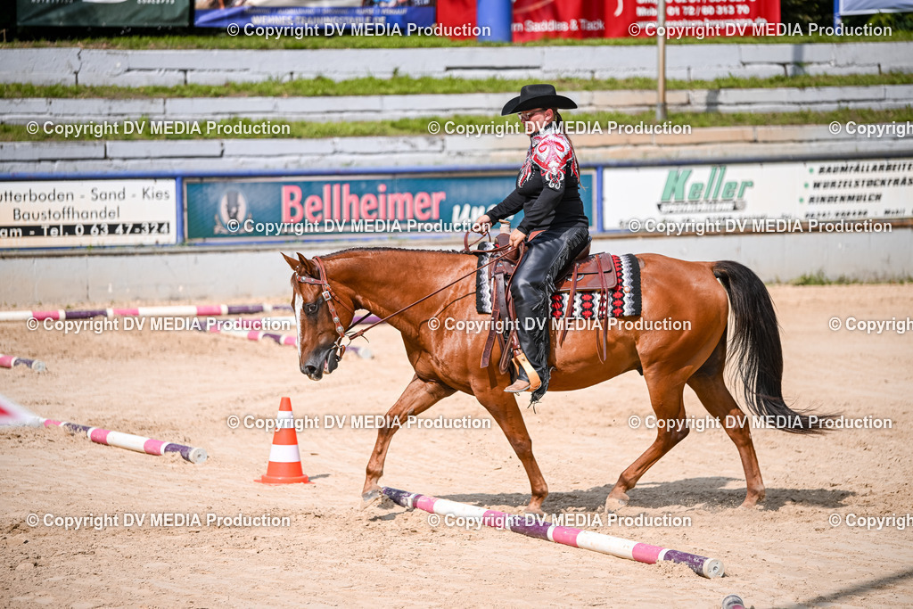 ZS2_3656 | dv-media-shop - Realisiert mit Pictrs.com