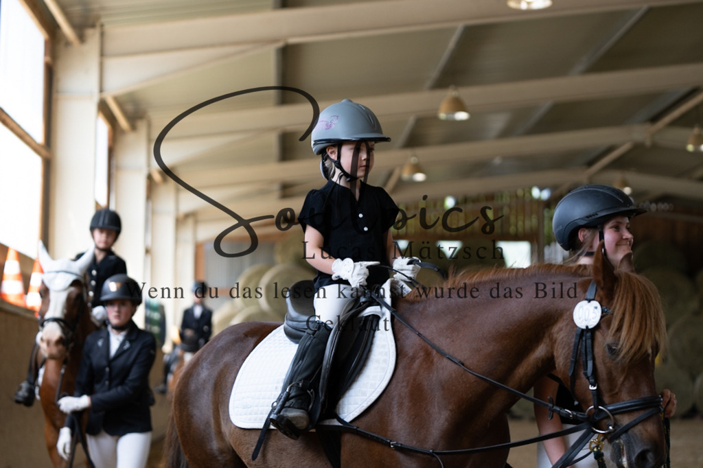 A7V08268 | Pferdefotograf