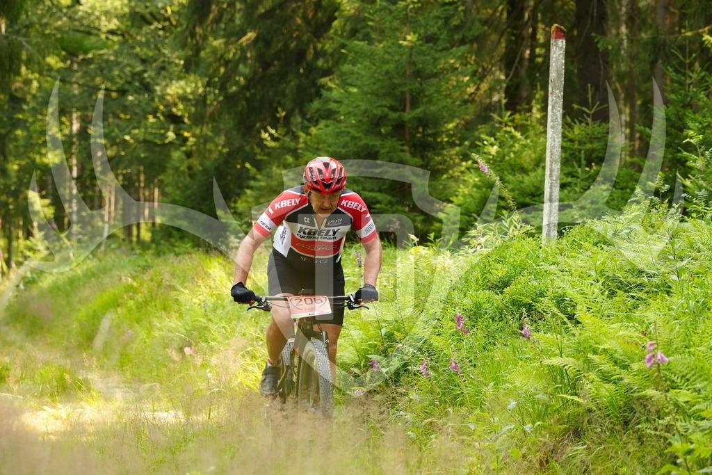 FC103234 | Fotogalerie der Treibjagd im Dunkelwald - Dein MTB Etappenrennen im Erzgebirge - Realisiert mit Pictrs.com