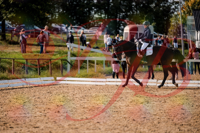 2026_10_03_Siefer-Hof_133442_Z63_93173541 | Professionelle Reitsport-, Turnier- und Eventfotografie von Robert Broda. Galerien mit ausgewählten und bearbeiteten Bildern direkt online ansehen und bestellen.