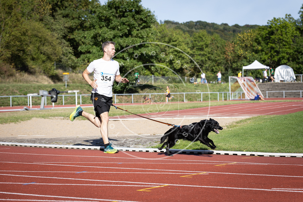 Pfotenfotografie_DV3A9728 | Hundefotografie, Tierfotograf, Pfotenfotografie, Fotoshooting Hund, Hunde Portrait, Hundesport, Hundeportraits, Heideshooting, Hunde, Sportfotograf, Hundefotograf, Turnierhundsport, THS,  - Realisiert mit Pictrs.com