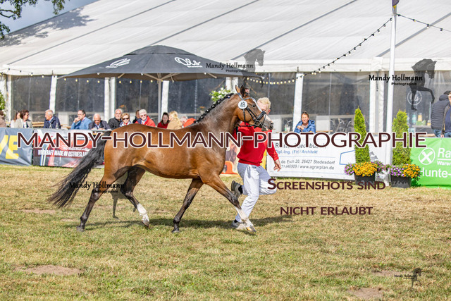 DR (1907 von 2698) | mandyhollmannphotographie