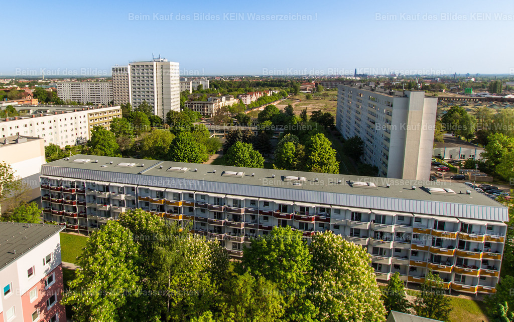 Stadtfelder Lion-Feuchtwanger 2018-1022 | Magdeburg Lion-Feuchtwanger Strasse - Realisiert mit Pictrs.com
