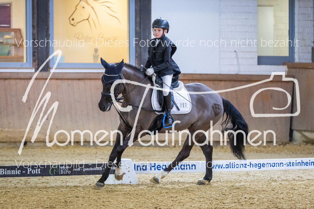 _M2A2019 | MomenTaufnahmen Pferdesportfotos