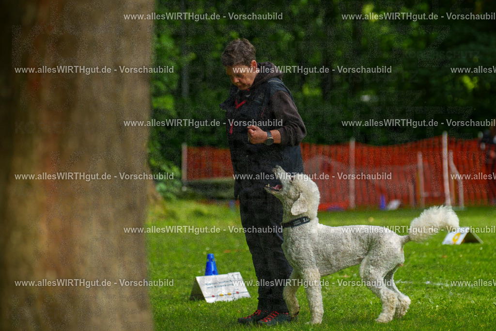 @allesWIRTHgut_Tierfotografie - www.allesWIRTHgut.de - 7R503589 | Professionelle Tierfotografie in Mönchengladbach von Daniel Wirth (allesWIRTHgut). Liebevolle & natürliche Bilder von Hunden & Katzen für unvergessliche Erinnerungen.