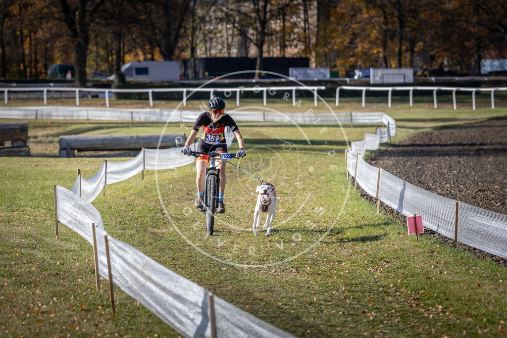 CaniXpix_DV3A7328 | Hundefotografie, Tierfotograf, Pfotenfotografie, Fotoshooting Hund, Hunde Portrait, Hundesport, Hundeportraits, Heideshooting, Hunde, Sportfotograf, Hundefotograf, Turnierhundsport, THS,  - Realisiert mit Pictrs.com