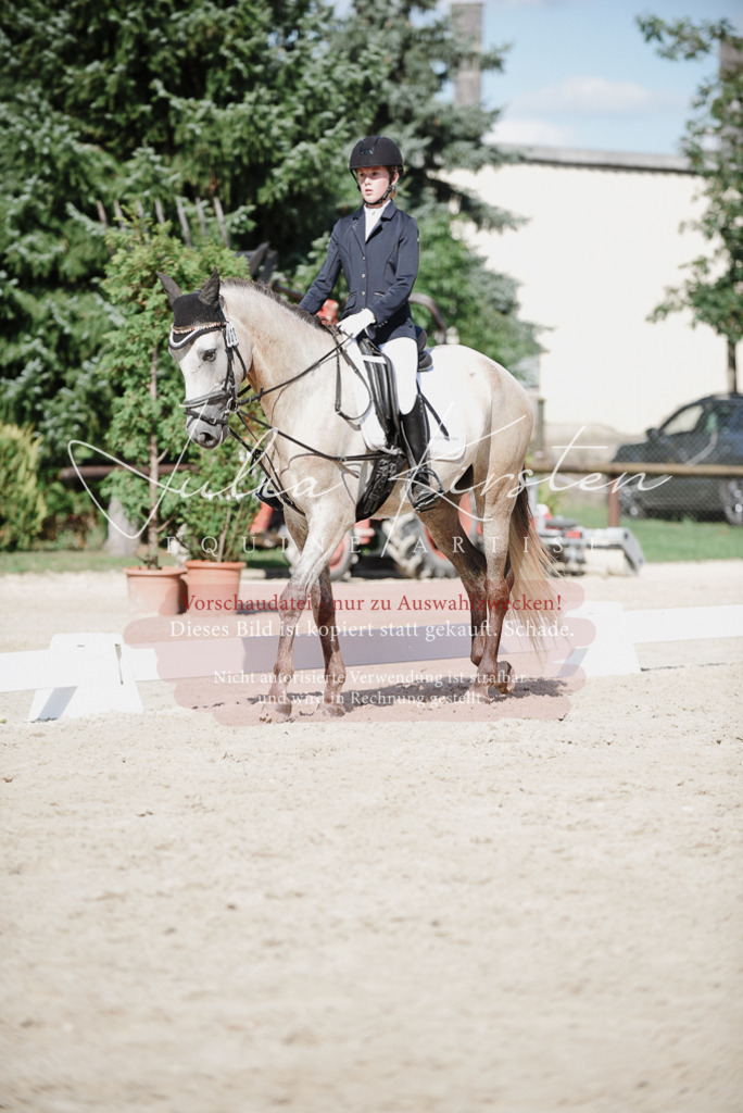DSC_9921 | Pferde- und Turnierfotografie in Westsachsen. Pferdeportraits, Auftragszeichnungen und intuitive Kunst.