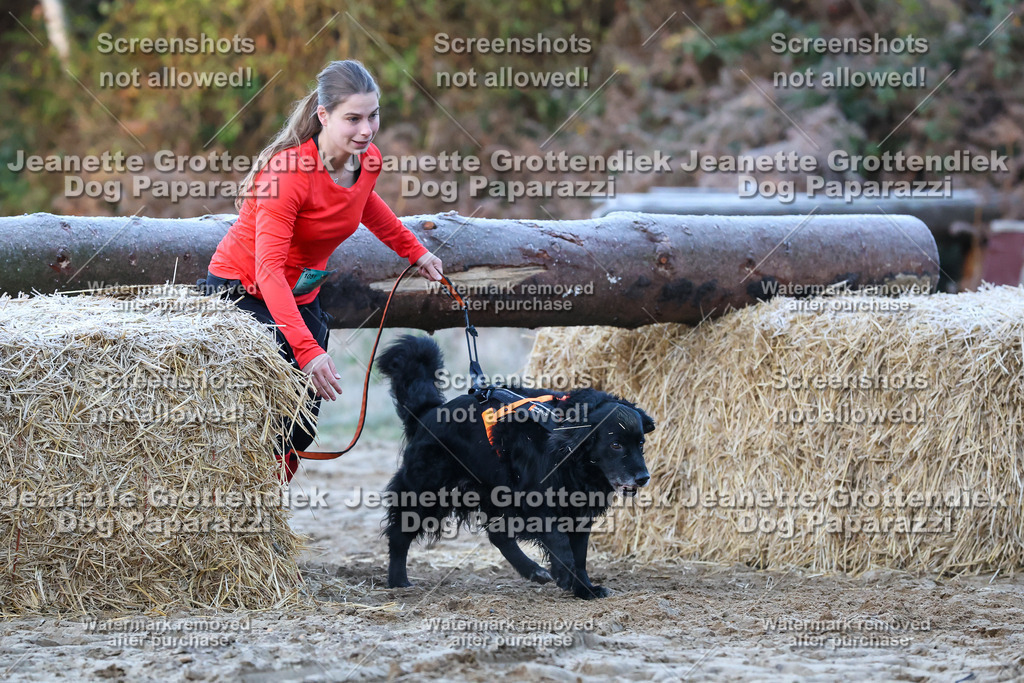 Dog Paparazzi - Strongdog 10-25-217 | Dog Paparazzi Jeanette Grottendiek Fotografie & Videografie - Realisiert mit Pictrs.com