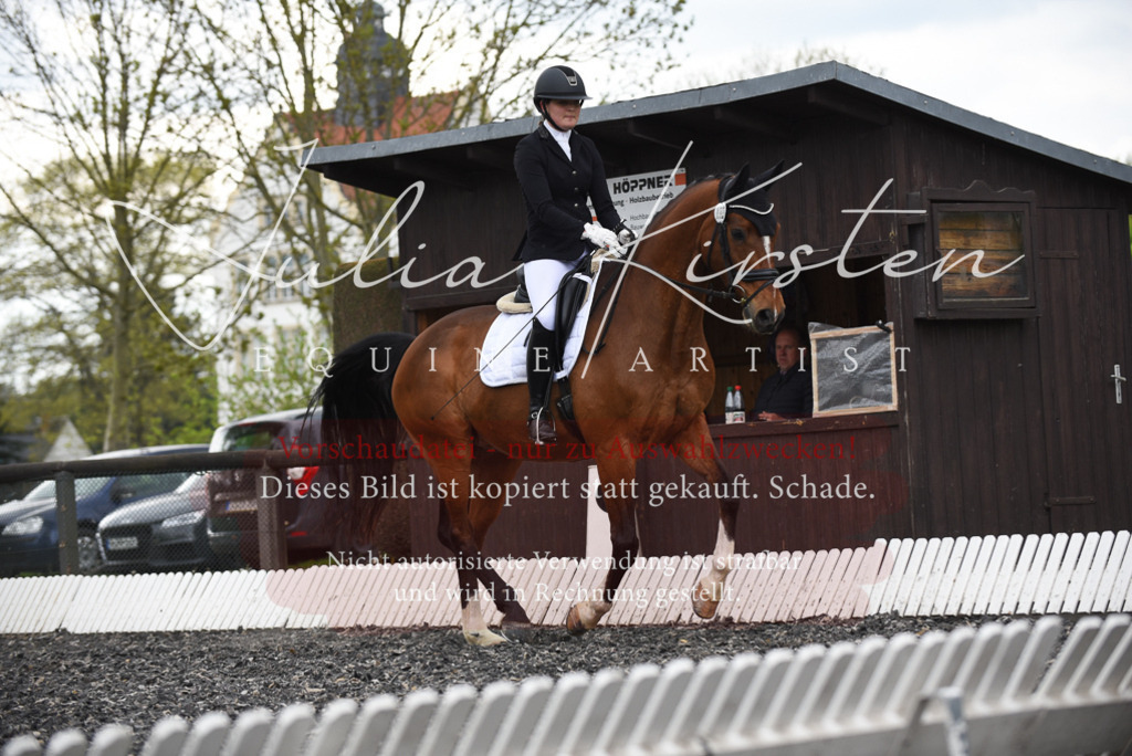 20230513_JK-Röhrsdorf-15-556 | Pferde- und Turnierfotografie in Westsachsen. Pferdeportraits, Auftragszeichnungen und intuitive Kunst.