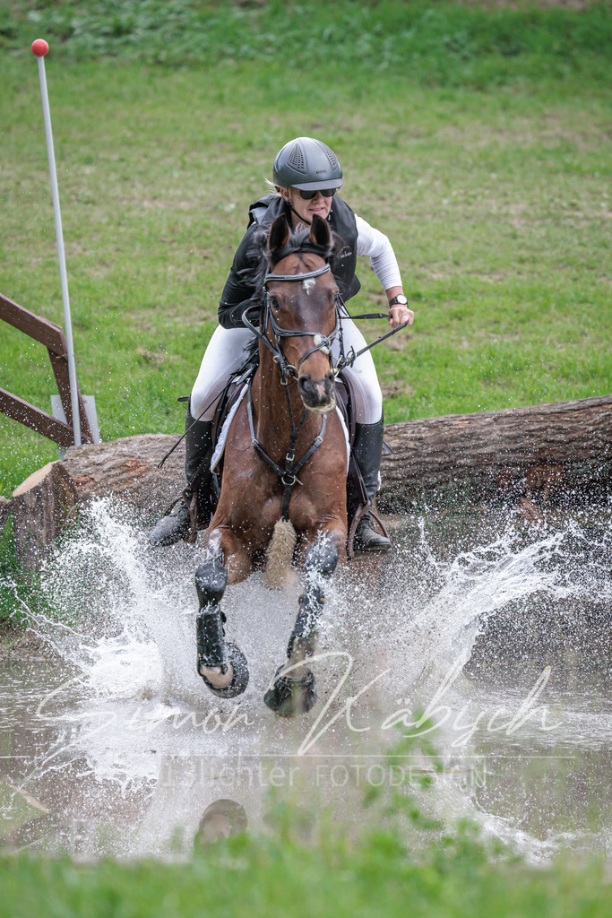 20260523-_3LI9681 | Tierfotografie Pferde, Hunde, Katzen, Haustiere.
Turnierfotografie Reitturniere, Reiten, Springreiten, Dressur in Hanau, dem Main-Kinzig-Kreis und dem Rhein-Main- Gebiet um Frankfurt