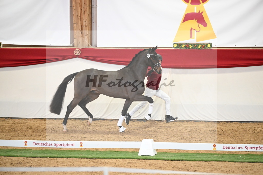 Kat.-Nr. 51 v. Donkey Boy_Lenzen_2250201 | hf-fotografie - Realisiert mit Pictrs.com