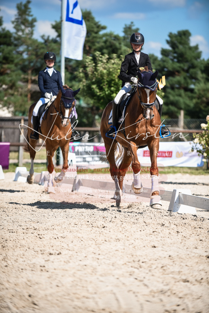 DSC_9750 | Pferde- und Turnierfotografie in Westsachsen. Pferdeportraits, Auftragszeichnungen und intuitive Kunst.