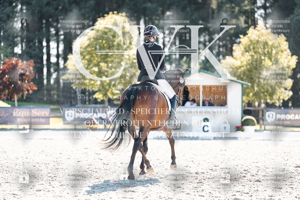 CK906205 | Turnierfotografie Pferdefotografie Trier Rheinland-Pfalz Pferdesport Reitsport Tierfotografie Sportfotografie Pferdevideo Pferdevideografie Equestrianvideography equestrianphotography  - Realisiert mit Pictrs.com