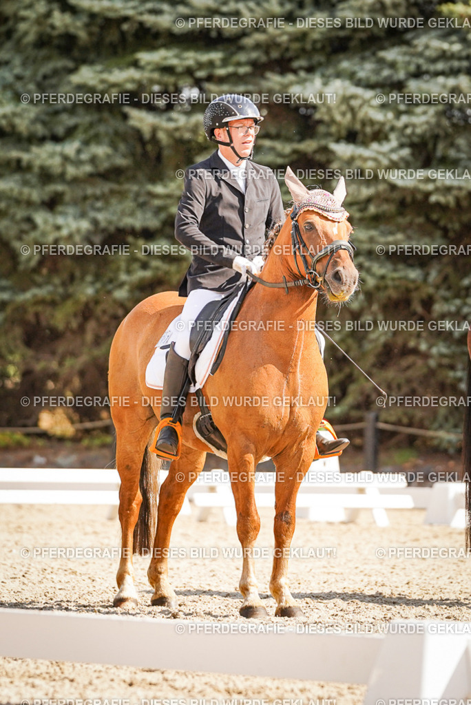 DSC00824 | Pferdegrafie