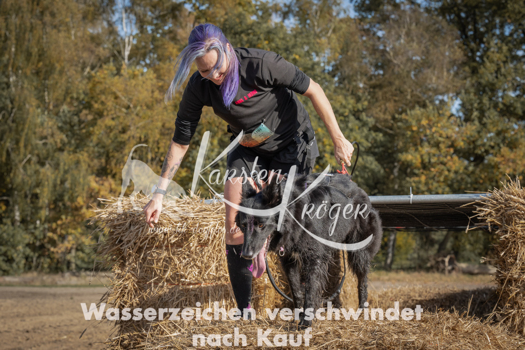 1133_ZZ92051 | kk-dogfotos