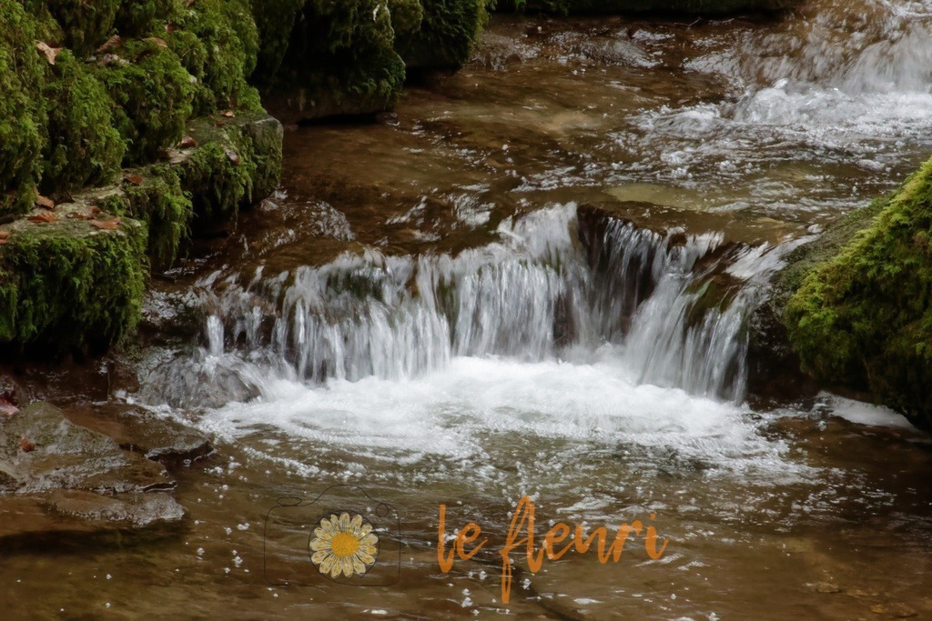 DSC_0242-NEF_DxO_PRIME | Dies ist der Shop von Florian Blum - le fleuri. Langenthal, Bern, SchweizSie können hier meine oder ihre eigenen Fotos als Fotoprodukte kaufen. Tassen, Schlüsselanhänger, Taschen etc. können Sie hier gestalten.  - Realisiert mit Pictrs.com