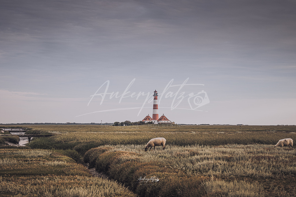 Leuchtturm Westerhever 3 | ankerplatz-schleswig-holstein - Realisiert mit Pictrs.com