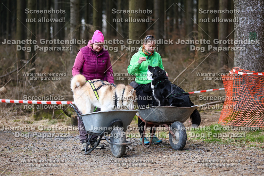 Dog Paparazzi - VCC26-779 | Dog Paparazzi Jeanette Grottendiek Fotografie & Videografie - Realisiert mit Pictrs.com