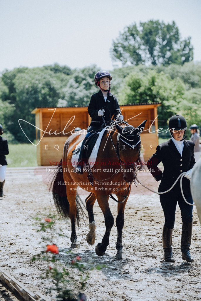 DSC_2288 | Pferde- und Turnierfotografie in Westsachsen. Pferdeportraits, Auftragszeichnungen und intuitive Kunst.