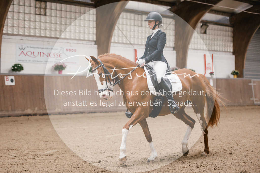 3I6A6421 | Stimmungsvolle Portraits und Reitsportfotografie im Ruhrgebiet und im Münsterland.

Pferdefotografie, Hundefotografie, Tierfotografie, Reportagen, Portraits von Tier und Mensch, Turnierfotografie in Bochum, Recklinghausen, Marl, Haltern am See, Dülmen.. - Realisiert mit Pictrs.com