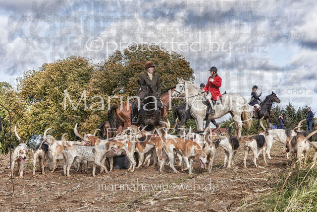 Jagdzene-Kletkamp_MarinaHewig Kopie | Fotografie, FotoArt, PferdesportArt, Pferdesportfotografie, Landschaftsfotografie, Reisefotografie, Reise, Pferde - Realisiert mit Pictrs.com