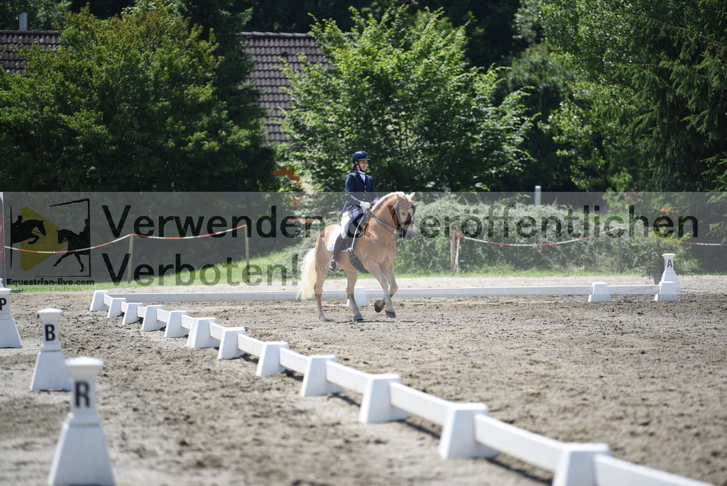 DSC_1034 | equestrian-live-com