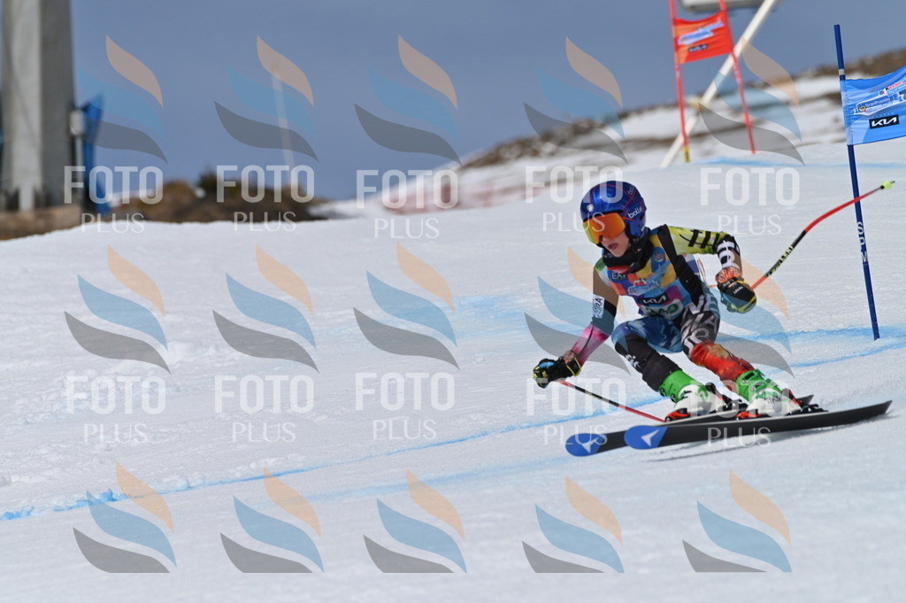 BGV_6825 | holidayphoto