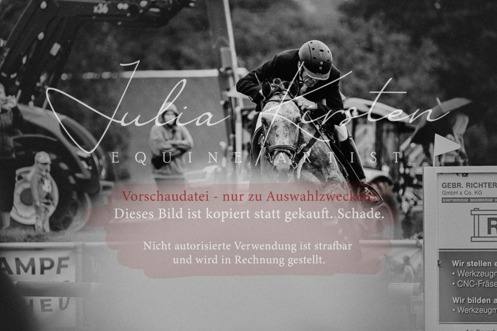 DSC_6547 | Pferde- und Turnierfotografie in Westsachsen. Pferdeportraits, Auftragszeichnungen und intuitive Kunst.