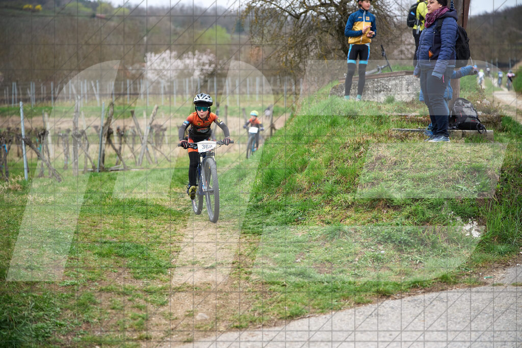 34. KTM Kamptal Trophy  | ZÖBING, Österreich – 2026-03-28: 34. KTM Kamptal TrophyFoto: © 2026 Martin Bihounek - MB Creative e.U.