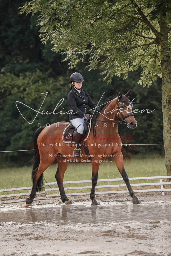 DSC_8431 | Pferde- und Turnierfotografie in Westsachsen. Pferdeportraits, Auftragszeichnungen und intuitive Kunst.