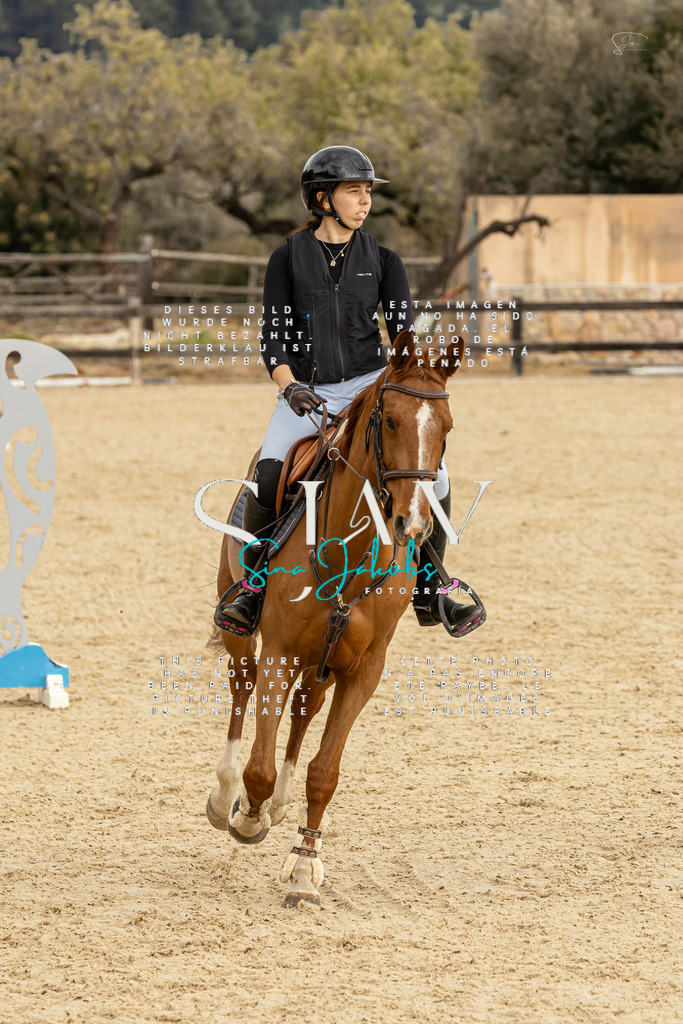 IMG_4603 | s-jay-photography - Realisiert mit Pictrs.com