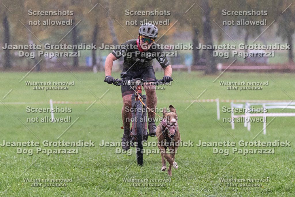 Dog Paparazzi - SD CaniX Championship 2025-912 | Dog Paparazzi Jeanette Grottendiek Fotografie & Videografie - Realisiert mit Pictrs.com