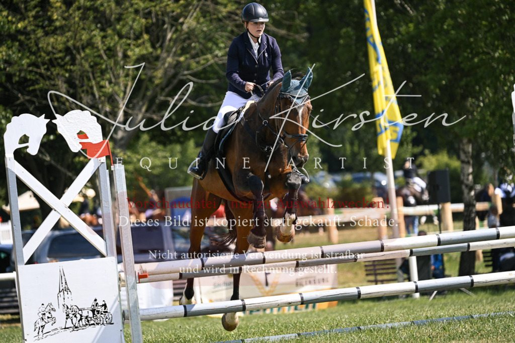 DSC_8977 | Pferde- und Turnierfotografie in Westsachsen. Pferdeportraits, Auftragszeichnungen und intuitive Kunst.