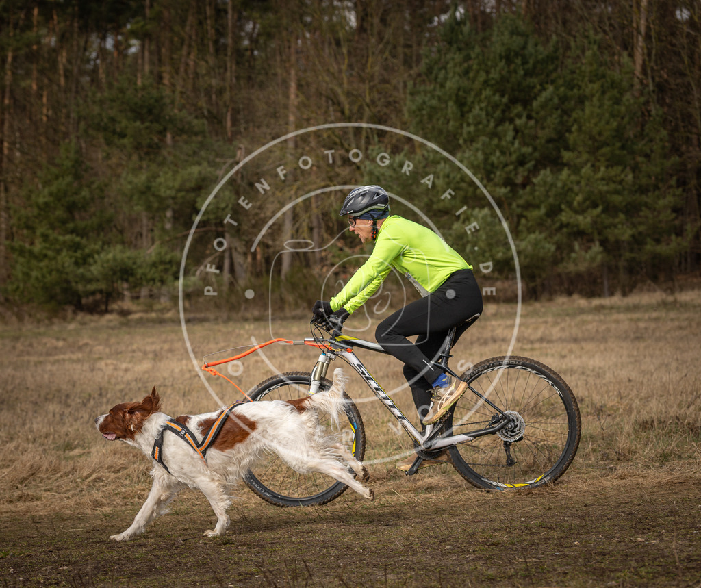 DV3A4598 | Hundefotografie, Tierfotograf, Pfotenfotografie, Fotoshooting Hund, Hunde Portrait, Hundesport, Hundeportraits, Heideshooting, Hunde, Sportfotograf, Hundefotograf, Turnierhundsport, THS,  - Realisiert mit Pictrs.com