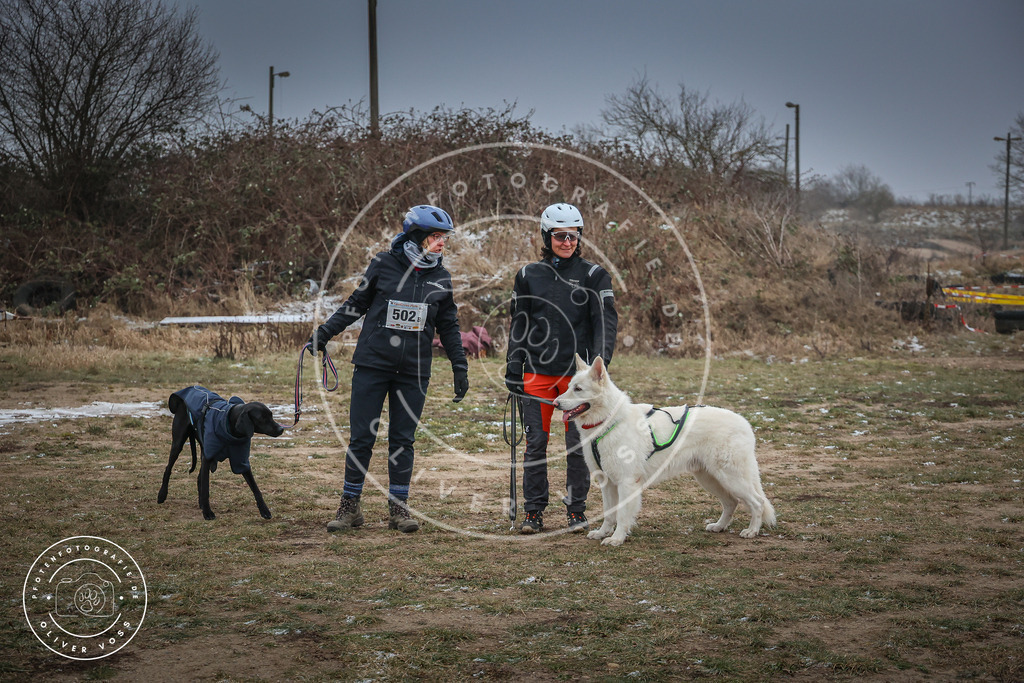Pfotenfotografie_0L8A2172 | Hundefotografie, Tierfotograf, Pfotenfotografie, Fotoshooting Hund, Hunde Portrait, Hundesport, Hundeportraits, Heideshooting, Hunde, Sportfotograf, Hundefotograf, Turnierhundsport, THS,  - Realisiert mit Pictrs.com