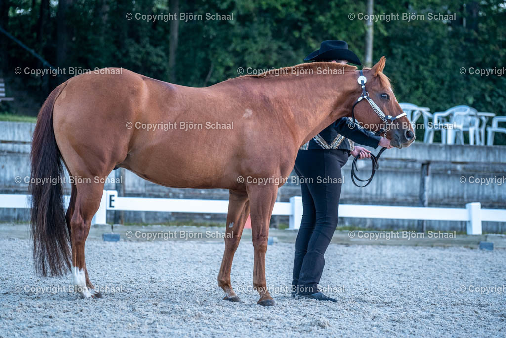 HOB07603 | BS-foto