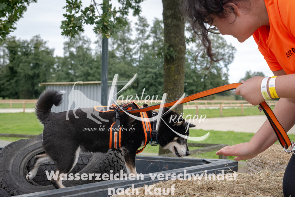 1228_ZZ90720 | kk-dogfotos