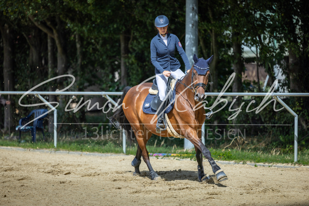 20260905-_3LI8587 | Tierfotografie Pferde, Hunde, Katzen, Haustiere.
Turnierfotografie Reitturniere, Reiten, Springreiten, Dressur in Hanau, dem Main-Kinzig-Kreis und dem Rhein-Main- Gebiet um Frankfurt