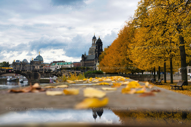 Dresden_Skyline_Herbst_ | Fotografie Photography Dresden Photoshooting  Fotoshooting Fotografin Dresdencity Bilder  Foto Dresdenvideos Kalender Postkarten Bilderdownload Portrait Hochzeitsfotografie Familienfotos Bewerbungsbilder Studiofotografie Fotograf Dresdenbilder Business - Realisiert mit Pictrs.com