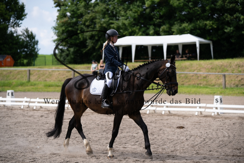 A7V02645 | Pferdefotograf