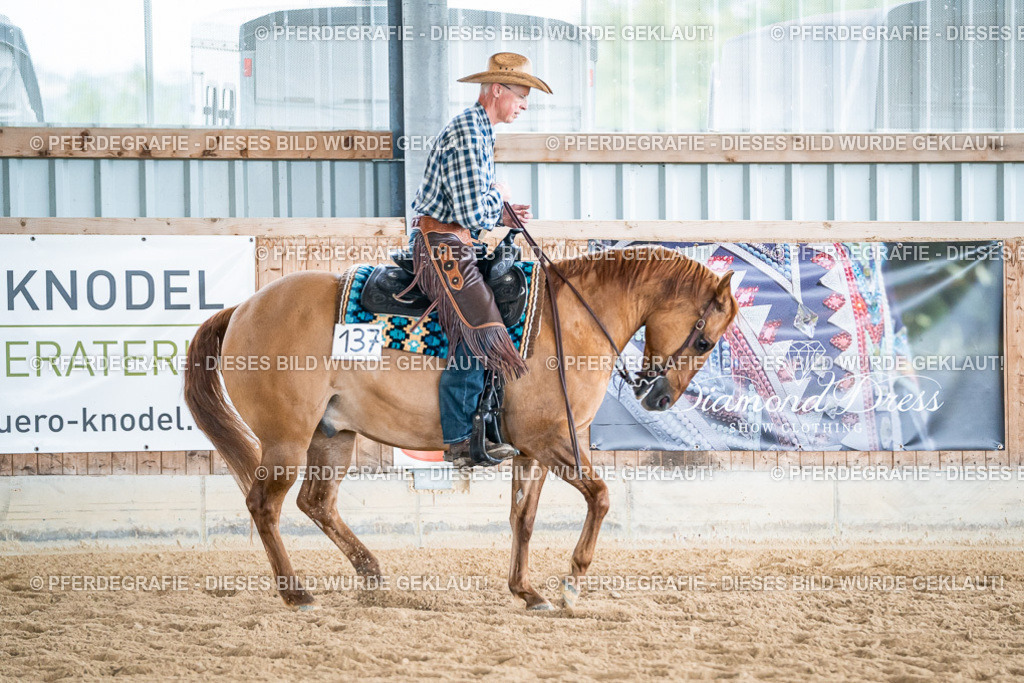 DSC07412 | Pferdegrafie