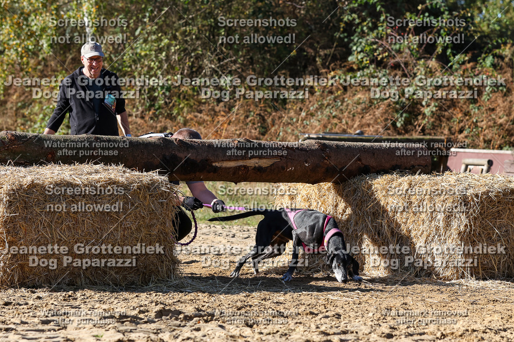 Dog Paparazzi - Strongdog 10-25-2845 | Dog Paparazzi Jeanette Grottendiek Fotografie & Videografie - Realisiert mit Pictrs.com