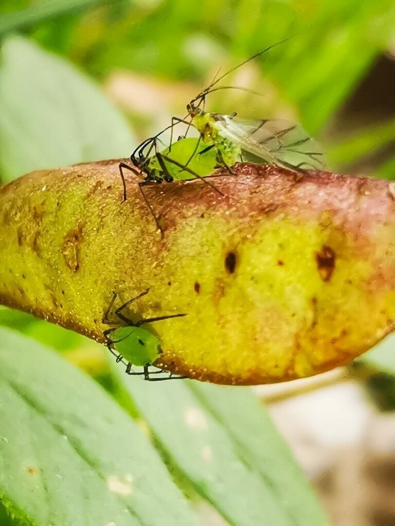 PSX_20221109_224830 | mtkfoto_ - Realisiert mit Pictrs.com