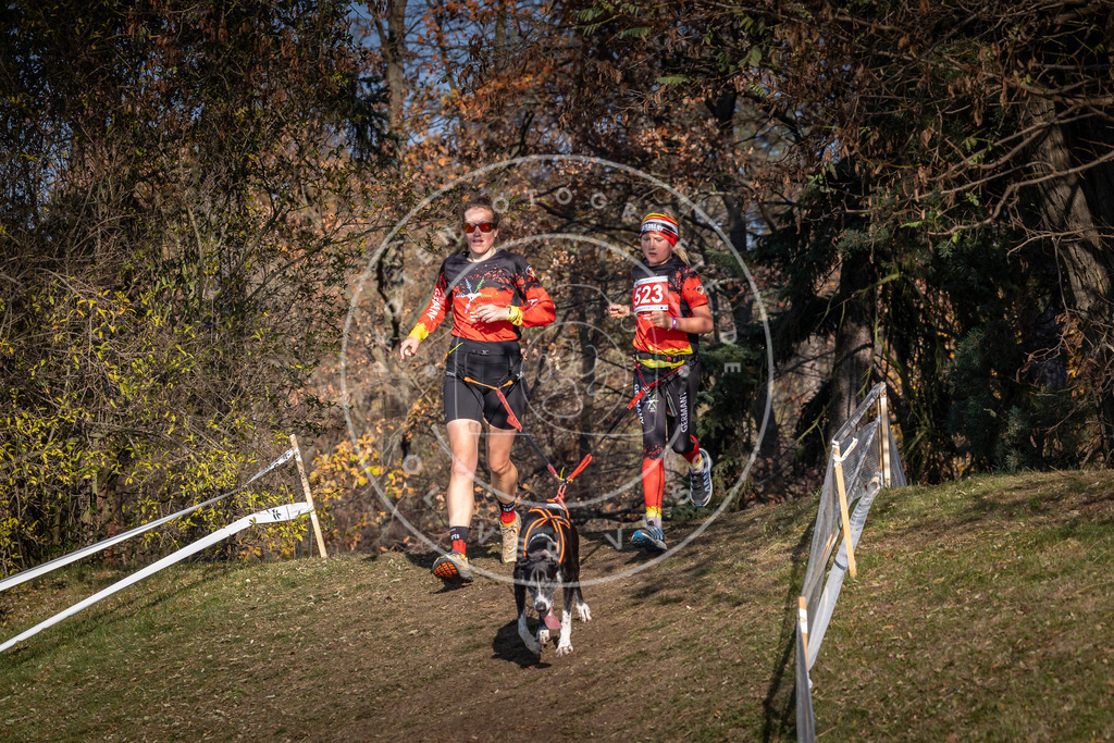 CaniXpix_0L8A8635 | Hundefotografie, Tierfotograf, Pfotenfotografie, Fotoshooting Hund, Hunde Portrait, Hundesport, Hundeportraits, Heideshooting, Hunde, Sportfotograf, Hundefotograf, Turnierhundsport, THS,  - Realisiert mit Pictrs.com