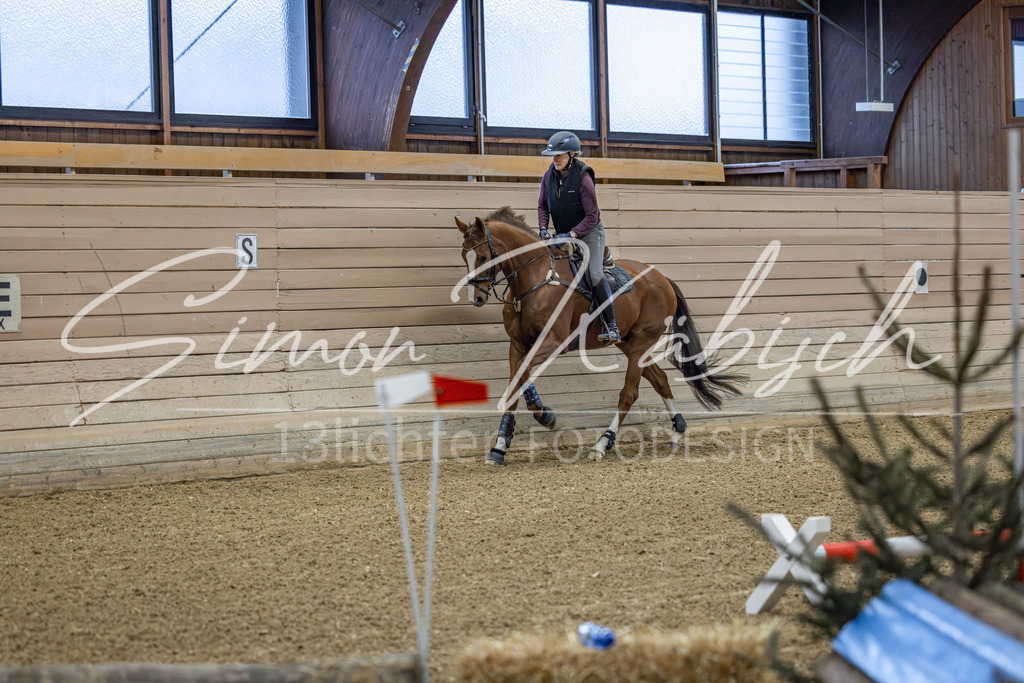 20260221-_3LI8257 | Tierfotografie Pferde, Hunde, Katzen, Haustiere.
Turnierfotografie Reitturniere, Reiten, Springreiten, Dressur in Hanau, dem Main-Kinzig-Kreis und dem Rhein-Main- Gebiet um Frankfurt