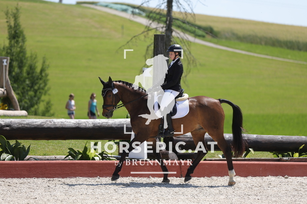 0P6A0836 | Willkommen bei Brunnmayr - Design & Fotografie – Ihrem Spezialisten für Reitturniere und Pferdeveranstaltungen in Oberösterreich, Salzburg und Bayern! Seit über 17 Jahren sind wir leidenschaftlich dabei.