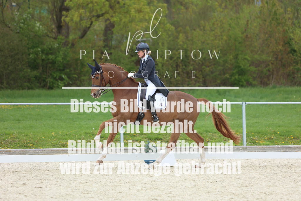 IMGM8119 | pl-fotografie