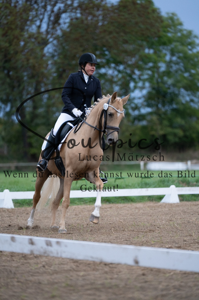 A7V04852 | Pferdefotograf